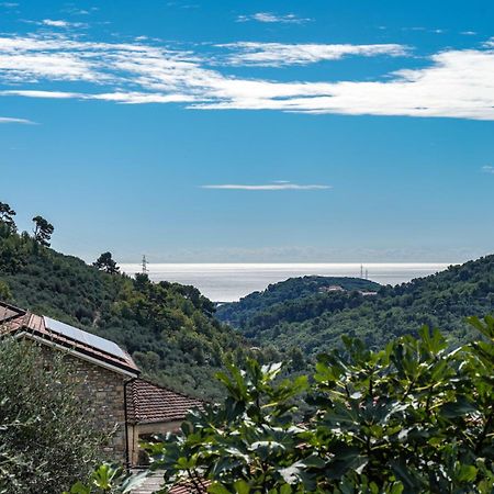 Agriturismo La Rocca Сан-Бартоломео-аль-Маре Экстерьер фото